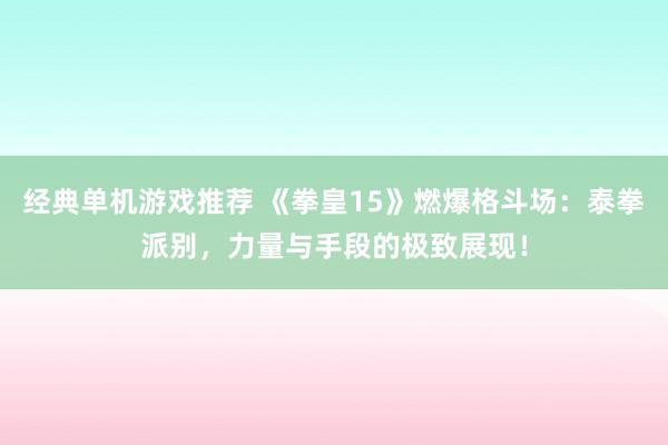 经典单机游戏推荐 《拳皇15》燃爆格斗场：泰拳派别，力量与手段的极致展现！