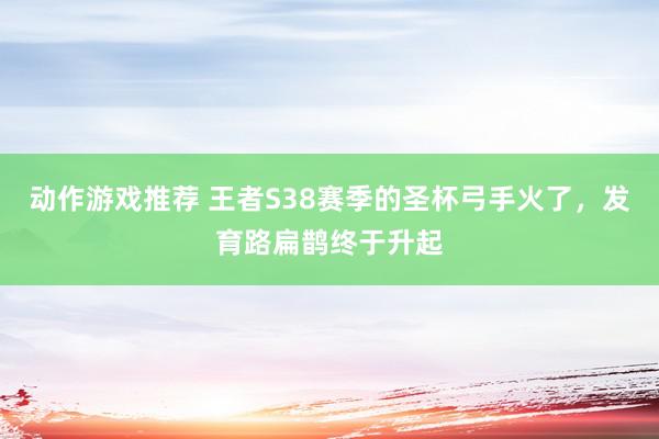 动作游戏推荐 王者S38赛季的圣杯弓手火了，发育路扁鹊终于升